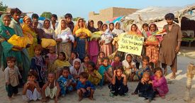 2025 Summer News from Pakistan