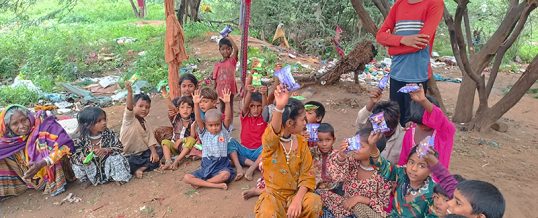 2025 Summer Report from India